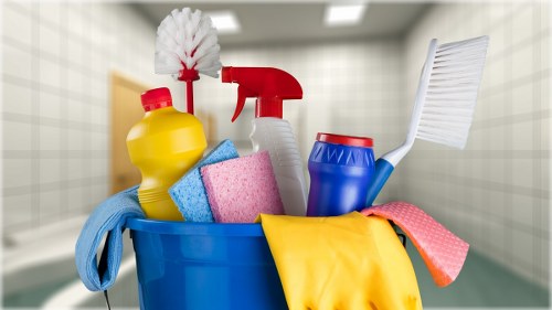 Professional carpet cleaning in a SW3 interior setting