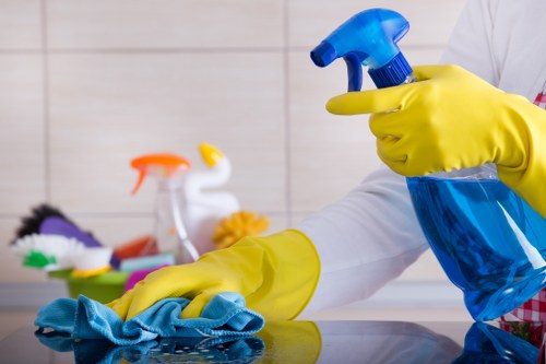 Professional cleaners in SW3 providing home cleaning services