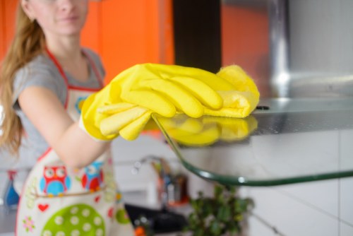 Experienced SW3 cleaners performing detailed deep cleaning work